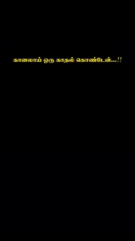 கானலாய் ஒரு காதல் கொண்டேன் கண்ணை குருடாக்கினாய்🥺 #tamilsong #fyp #tamilsong #tamiltiktok #trending 