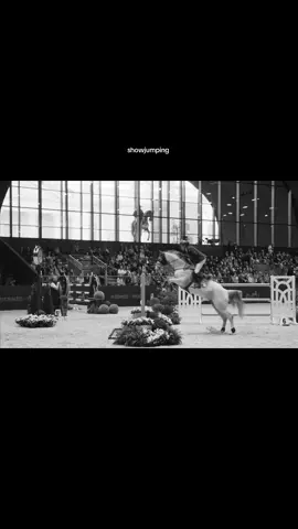 #horse #fyp #hermes #equestrian #showjumping 