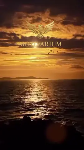 #creatorsearchinsights #fyp 