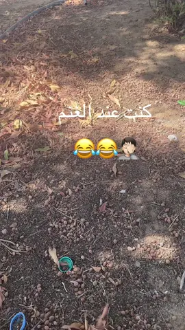 #ههههههه 