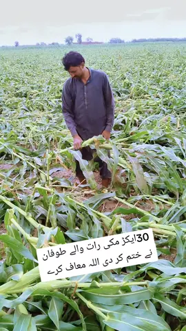 #foryoupag #fypシ゚viral #