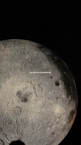 Por siempre… 🤍 #paraisolunar #siddhartha #paratii 