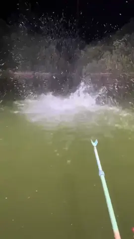 Natural fishing #trending #fsh🐟 #xuhuongtiktok #siêubão #nghethuatcauca 