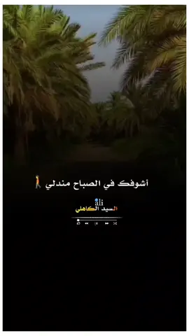 أشوفك في الصباح مندلي🚶 #عبدالقيوم_الشريف #شوايقه_والبلد_رايقه 