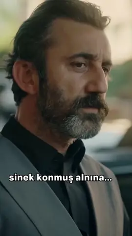 Sinek Konmuş Anlina 😁😁😁 krizzz#kesfet #eşrefrüya #fyp #onemillionaudition #keşfetbeniöneçıkar 