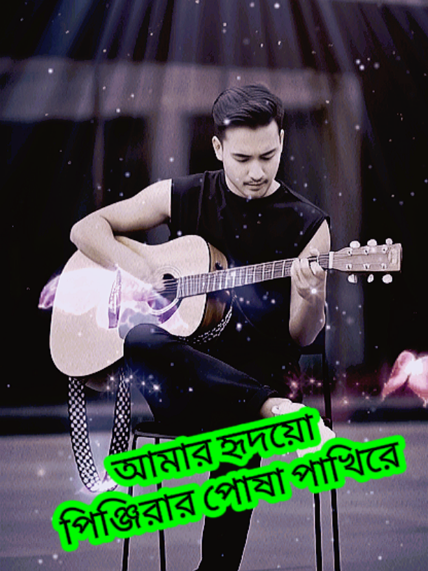 আমার হৃদয়ের পিঞ্জিরার পোষা পাখিরে #tiktok #music 