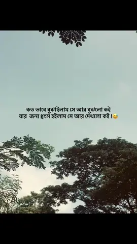 এতো ভাবে বুঝায়লাম সে আর বুঝলো কৈ যার জন্য ধ্বংস হয় লাভ সে আর দেখলো কই??❤️‍🩹😅##tiktoktainment  #omoralwaysonfire #misterio 