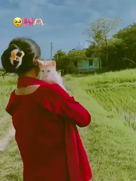 #💖🌺🎀🌺❤️‍ 