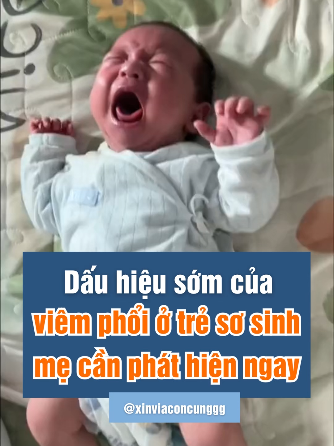 Dấu hiệu sớm của viêm phổi ở trẻ sơ sinh, mẹ cần phát hiện ngay #kinhnghiemchamcon #nuoicondungcach #nuoiconeasy #landaulamme #embedangyeu #dayconthongminh #embethongminh #nuoiconthongminh #nuoiconnhantenh #viemphoiotresosinh #giuamchobe