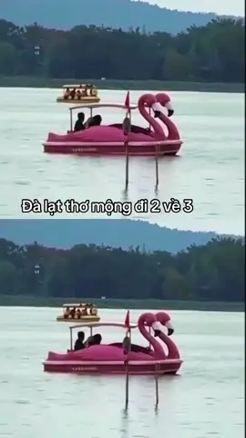 Quá thơ mộng #xuhuong #nhachaymoingay ##viral##dalat