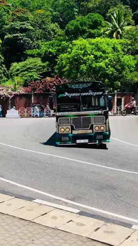 බුද්දික අයියා අතේ නැලවේන සැප එව්වා prasanga black panther #viral #නුවරඅපි #1millionaudition #busesofkandy #fyppppppppppppppppppppppp @𝘼𝙨𝙝𝙚𝙣 /🥤 @𝙏𝙝𝙞𝙢𝙖𝙡𝙖:)🍓❕ 