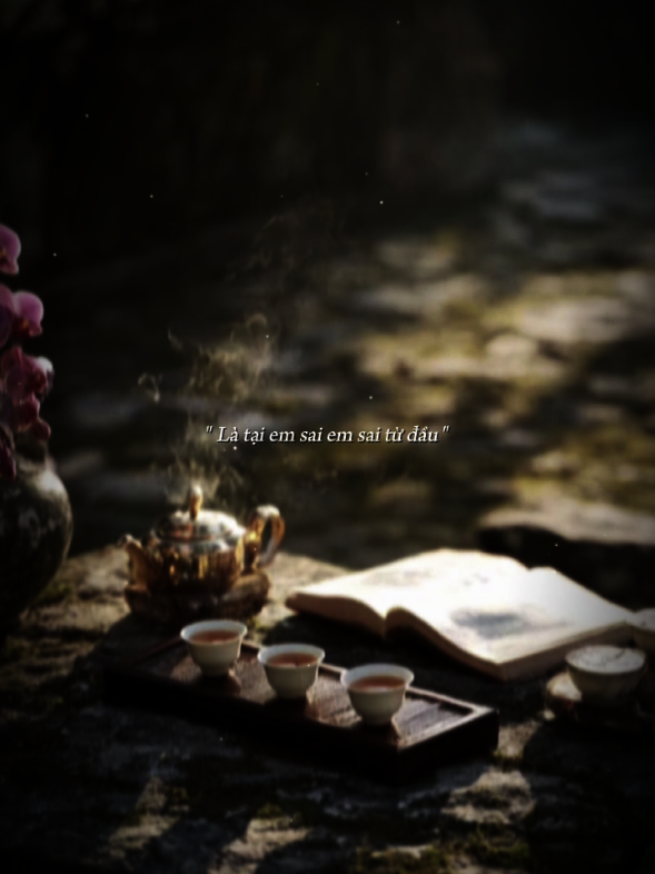 Là tại em sai #tamtrangbuon #xh 