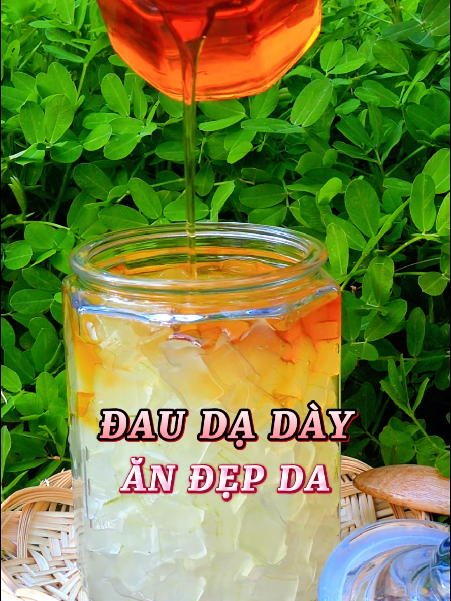 Nha đam ngâm mật ong đỡ đau dạ dày, ăn đẹp da #lamdep #LearnOnTikTok 