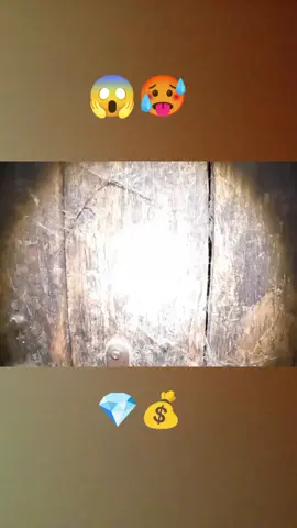😱🥵💎💰#archeology #treasure 