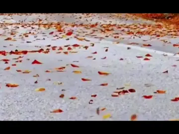 Seni yanımda istediyim qeder canımı bedenimde istemedim heç) 🖤