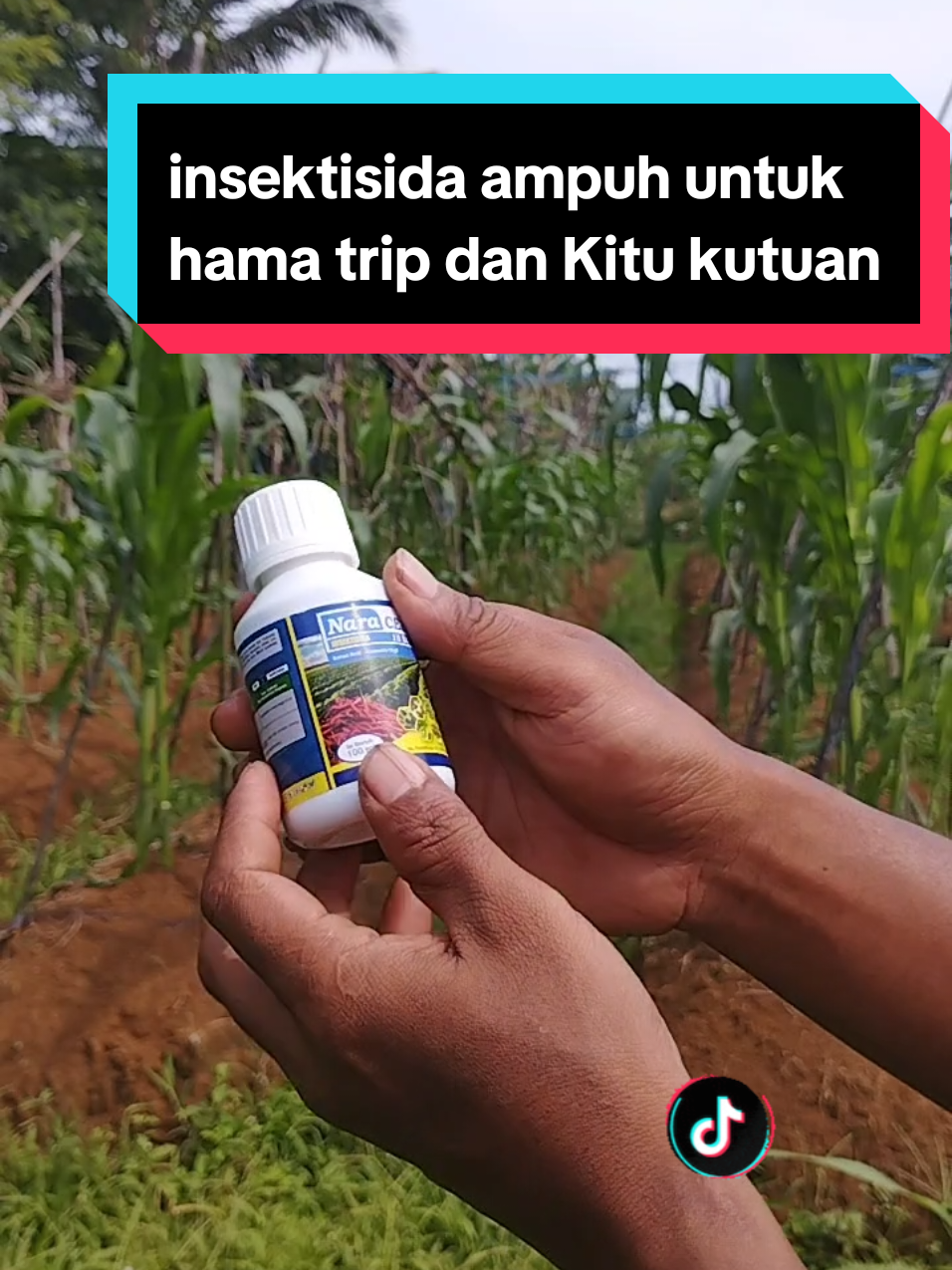 insektisida untuk hama trip tungau kutu kebul dan ulat insektisida berbahan aktif abamektin #insektisidaampuh #original #murah #pertanian 