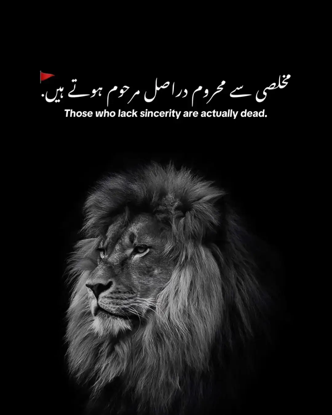 #fyp #foryou #fyppppppppp #viral #unfreezemyacount 