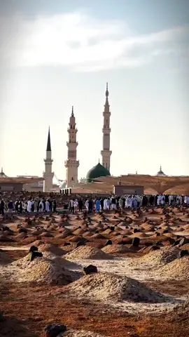 قبر کا خوف نہ رکھنا اے دل وہاں سرکار دو عالم کی شعریات ہو گئی ❤️❤️