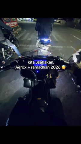 #aerox #aerox155 #aeroxcybercity #vario 