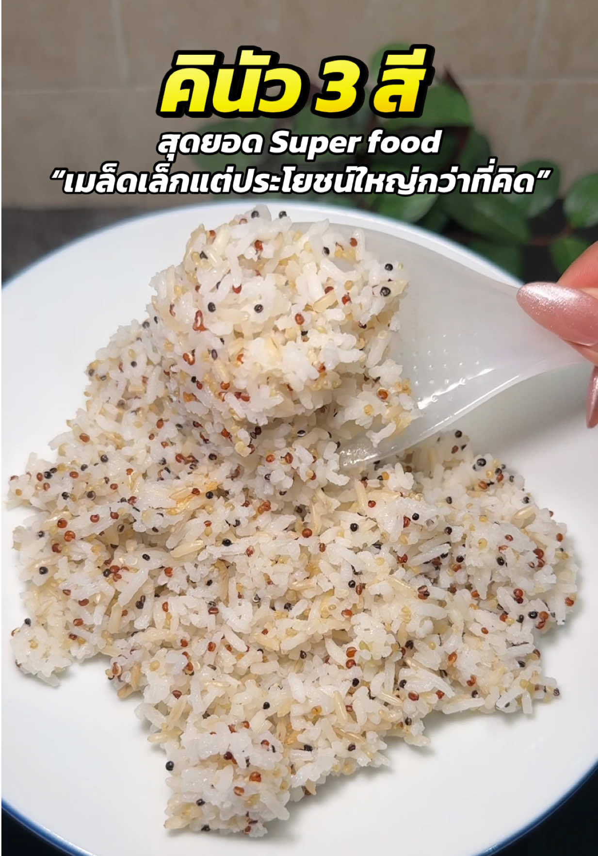 #คินัว #คินัวสามสี #ไร่พระจันทร์ #superfood 