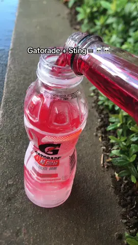 #fypppp #energydrink #gatorade #sting Try nyo na manga paps #trend 