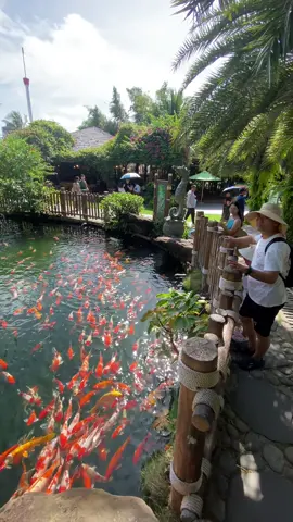 Hồ Koi 3000m3 nước sẽ như thế nào? #dungzions #landscape #zions 