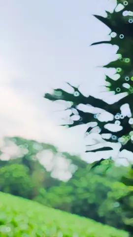 Nare Manus 💔🥹#for #foryou #viral #viralvideo #pablik 