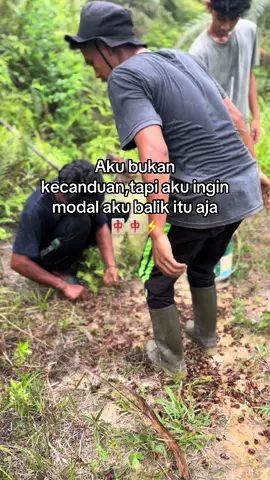 tabungan terlalu banyak🤣🀄️#promomakan1010 #promomakangajian #trendingvideo #fypsawit #sawitontiktok 