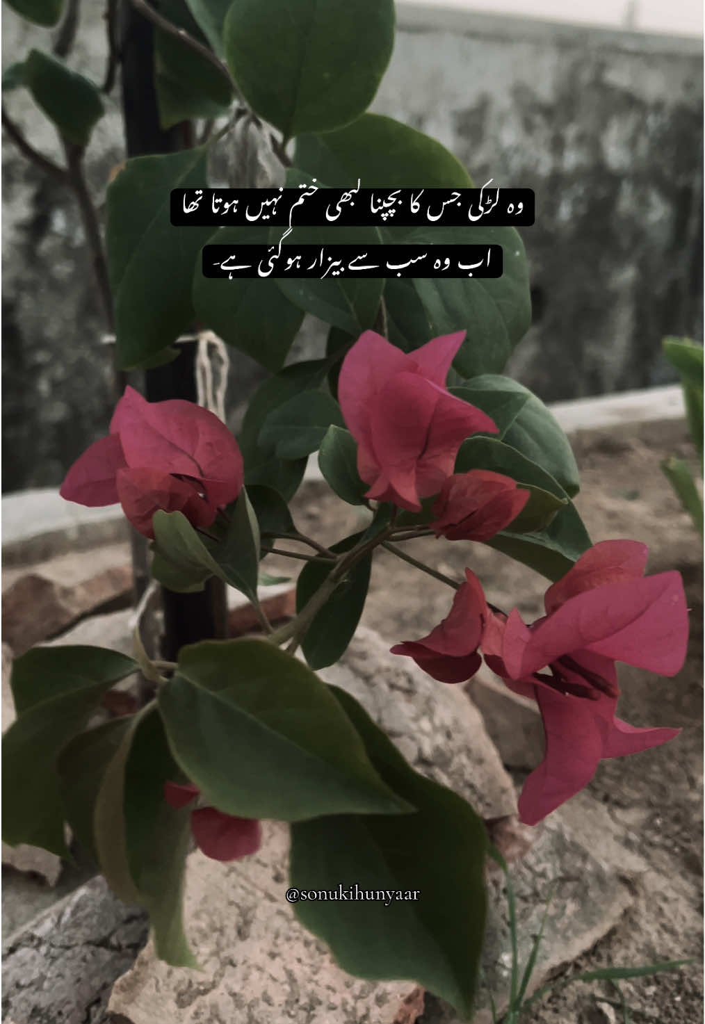 جب مل جائے تو خاک برابر- ❤️‍🩹🍂 #fypシ゚viral #foryoupage #viralvideo #viewsproblem #fypppppppppppppppppppp 