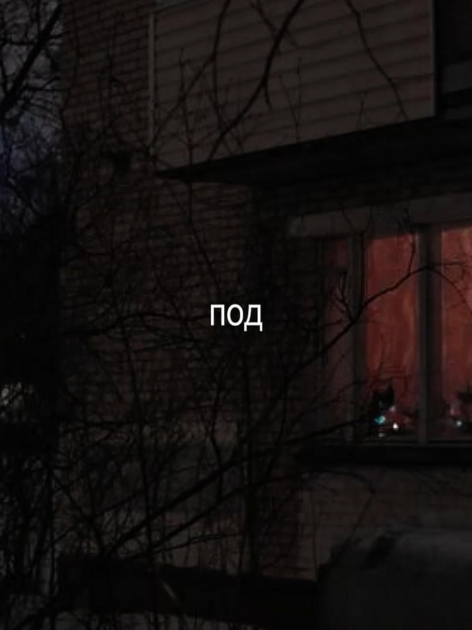 #lyrics #футаж #музыка #песня 