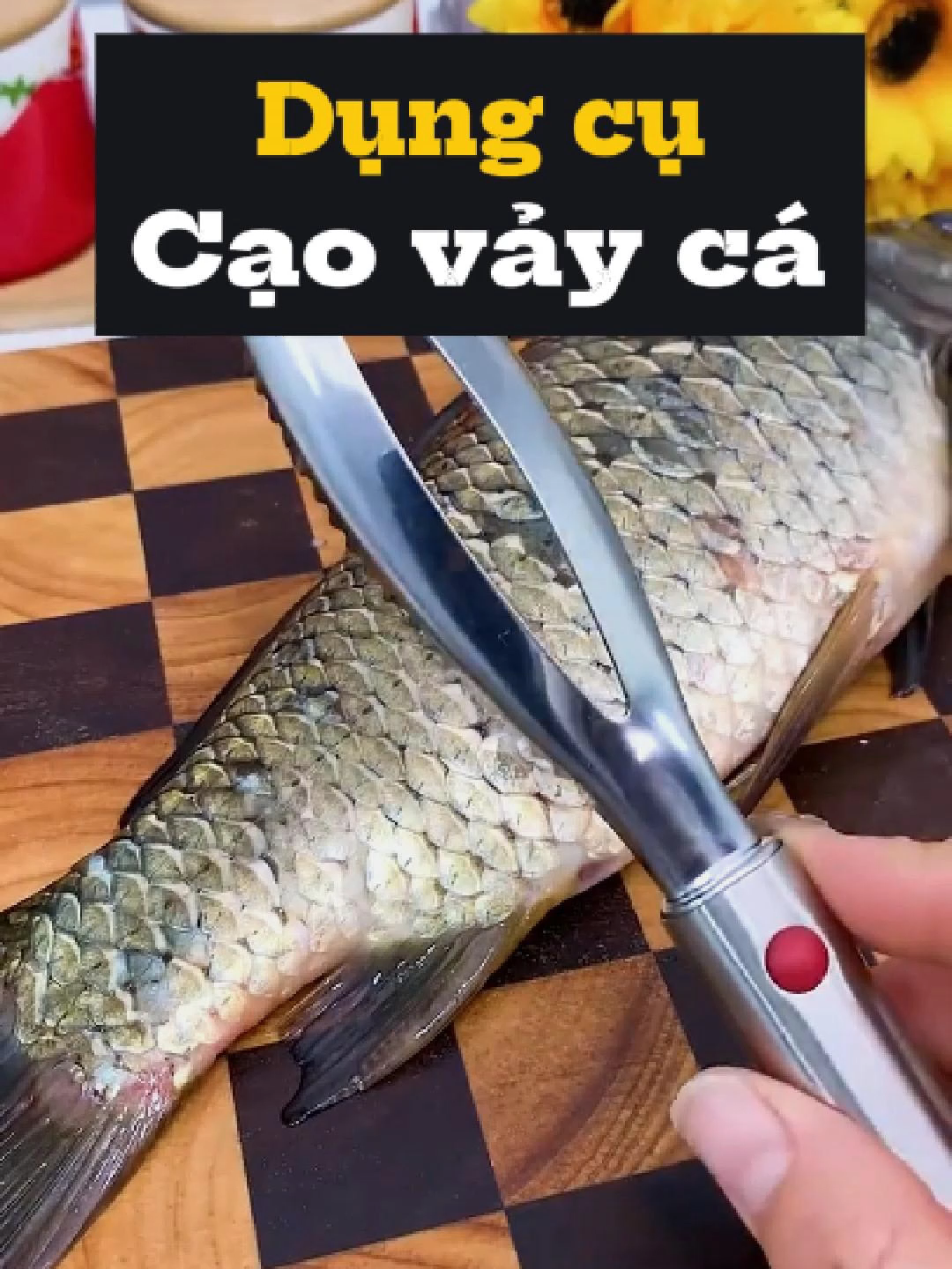 Dụng Cụ Cạo Vảy Cá, Dụng Cụ Làm Sạch, Bàn Chải Vỏ Bưởi Hải Sản, Dụng Cụ Cân, Dụng Cụ Cạo Nhà Bếp Cá #dungcucaovayca #dungcucaovaycainox