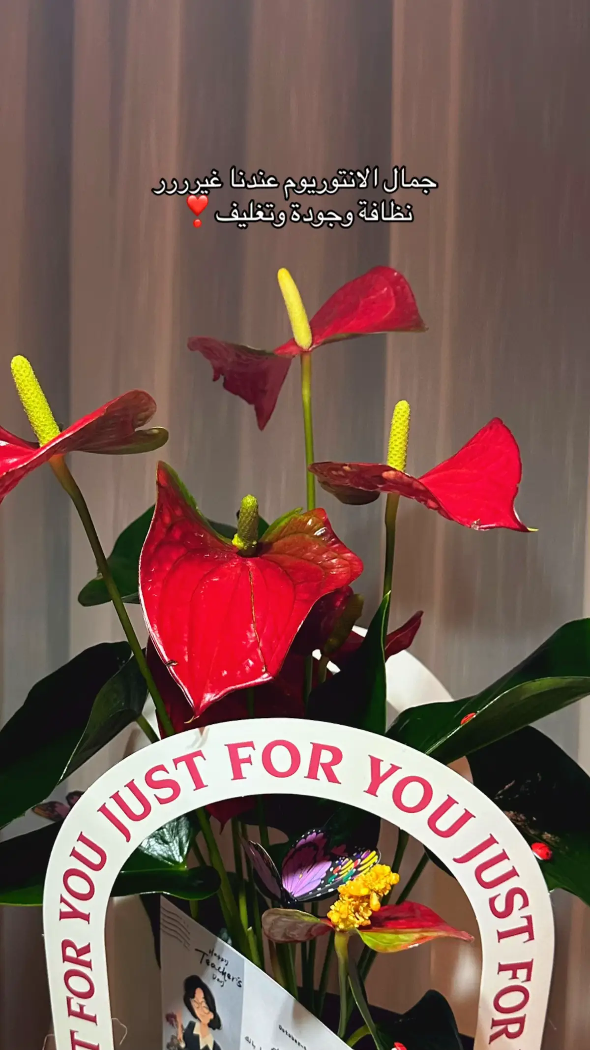 🥹❣️الجمال!!!!!!! #اكسبلور #ماله_حل_الشعب_الصيني😂😂 #explore 