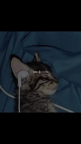 Calling, calling home! #majortom #fyp #viral #foryoupage #paratiiiiiiiiiiiiiiiiiiiiiiiiiiiiiii 