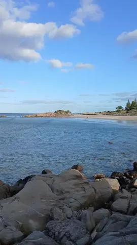 آسف حبيبتي  الوقت فات حبك وحبي بقوا ذكريات 🤍🎼🎼🤍🎼🎼🤍🎼 @raghebalama  #raghebalameh #راغب #راغب_علامة #اسف_حبيبتي #راغبعلامة 