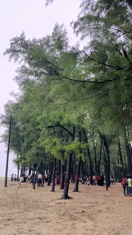 কক্সবাজার সুগন্ধা বিচ #viral #coxsbazar #fyp #foryou #coxsbazarbeach @For You 