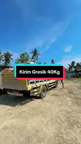 Kirim Semen Gresik Rs Aisyiyah Kulon Progo #tokobangunan #kulonprogo #fyppppppppppppppppppppppp #fyp #jogja 