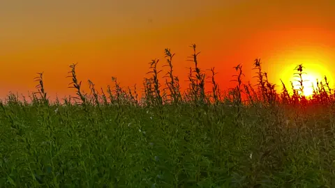 يانوك وين تريدين 🖤😪.                                        #ايهم         #متابعه #capcut #CapCut 