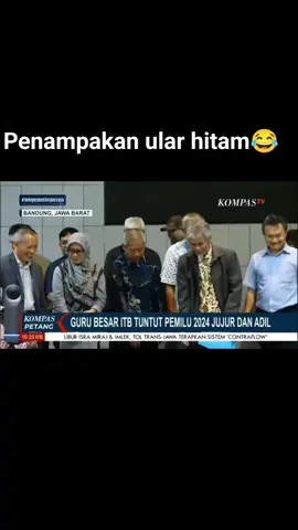 😂😂😂  #meme #fyp #absurd  #fypforyou 