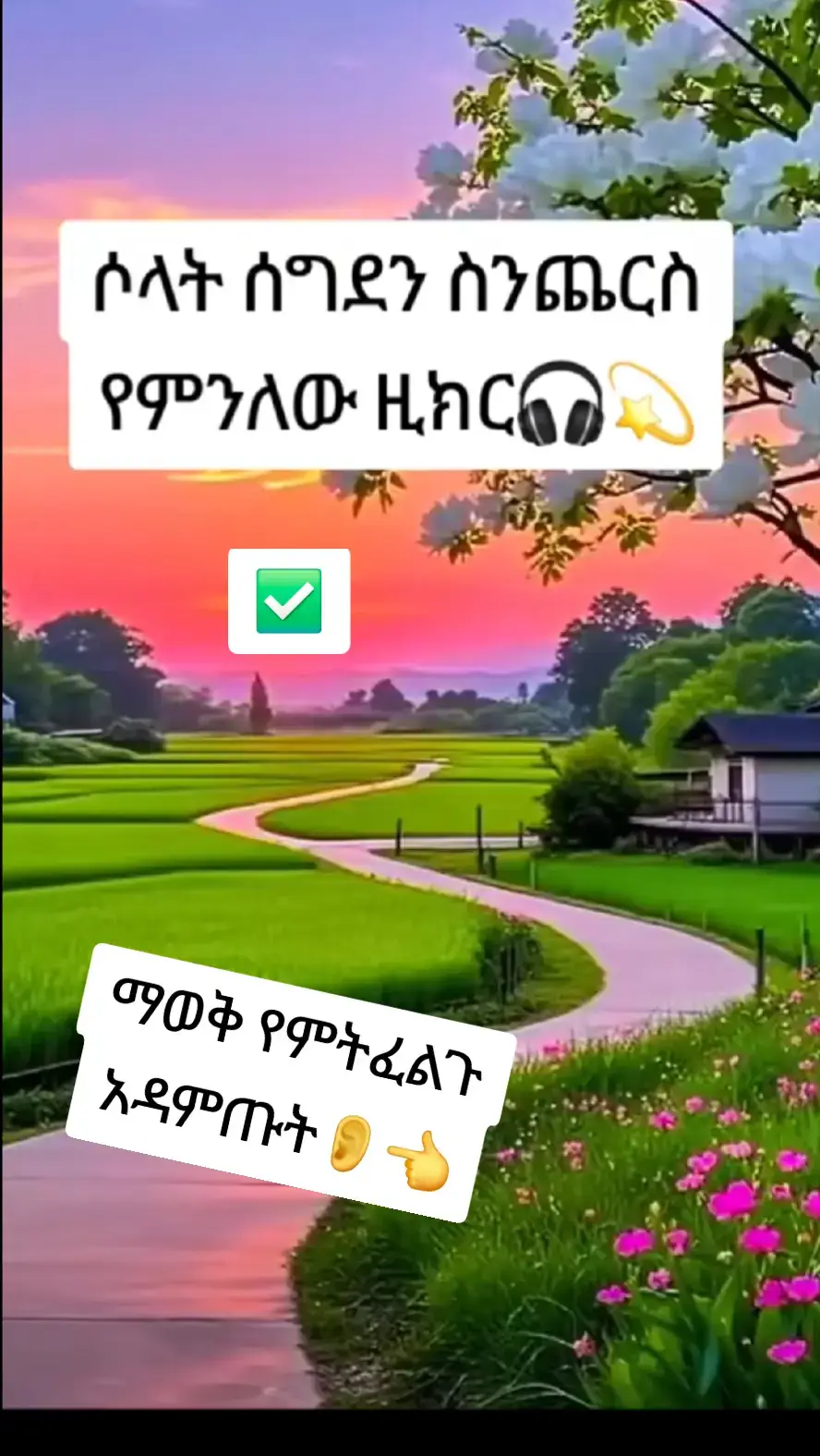 #ሸርአድርጉት #አልሃምዱሊላህ___አላ_ኒእማተል_ኢስላም #አላህን_ከልባቸው_ከሚፈሩት_ያድርገን #ethiopian_tik_tok🇪🇹🇪🇹🇪🇹🇪🇹 #viral 
