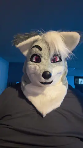 #jinxthefloof #furry #fursuit 