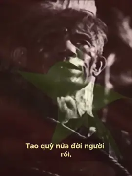 Đã đứng lên được là không quỳ xuống nữa, Việt Nam muôn năm