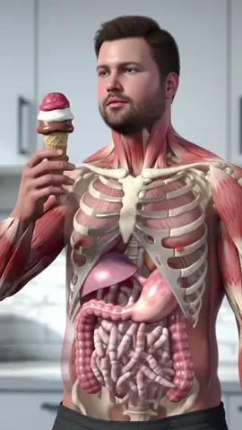 Human Body Anatomy 3D Animation #uk #anima #fyp #fory #ai 