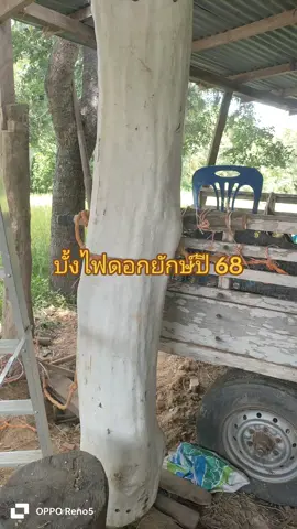 บั้งไฟดอกยักษ์จุดออกพรรษาปี 68#เทรนมาแรงวันนี้ #บ่าวอุบลคนโก้ #บั้งไฟดอก 