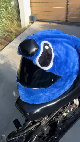 #hondasupra❤️‍ #viral #mpesfy #fyp 