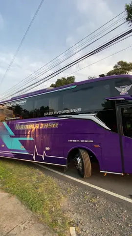versi qolby 😁 #nirmalajaya #fypシ #videobus #mundurajaganteng #ciinanbana 