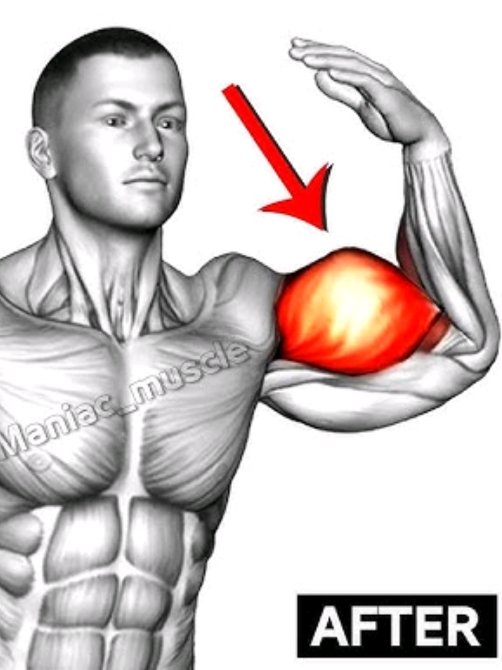 GET BIG BICEPS (Dumbbell Workout)  Basic Standing Exercises! #biceps #bicepsday #Fitness #exercise #workout 