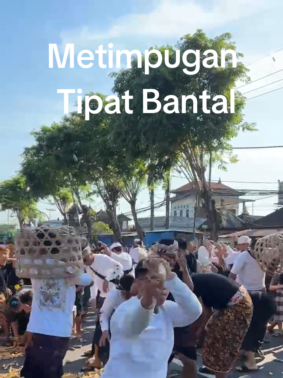 Aci Tabuh Rah Pengangon, wajib dilaksanakan setiap tahun berdasarkan kalender Bali (Sasih), tepatnya pada Purnama Kapat. Ritual tersebut, merupakan ungkapan rasa syukur masyarakat Desa Kapal kepada Tuhan atas kesejahteraan, berlimpahnya hasil panen dan terhindar dari berbagai macam bencana Sumber : Laman Resmi Kabupaten Badung 📽 Musca #infobadungbali #infoterkinibali #Badung #BudayaBali 