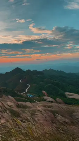 Định buồn nhưng lại lười ☹️#binhlieuquangninh  #cotmoc1297 