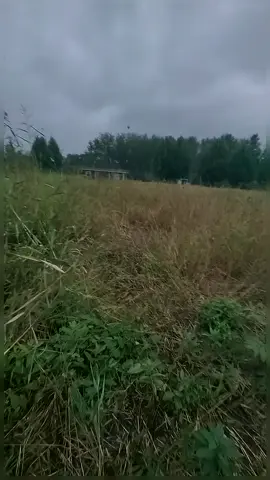 anyone else knows this #lightsaber #laser #fypシ 