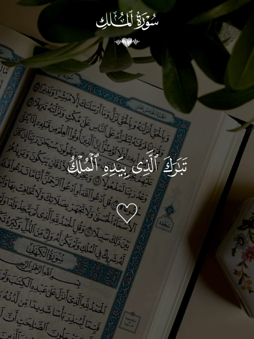 #قران_كريم #سعد_الغامدي #سورة_الملك #قران #quran 